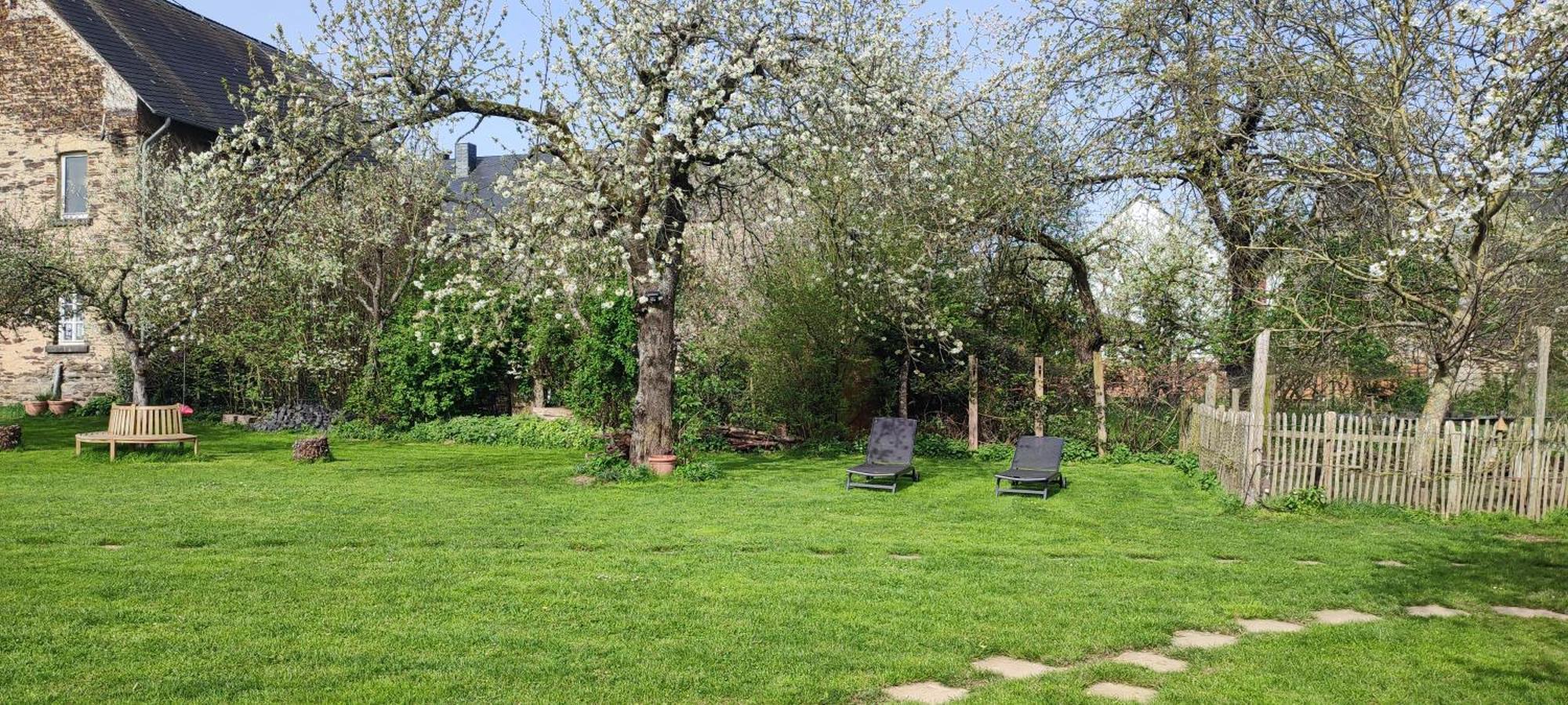 Landhof Lieg - Tierische Auszeit In Unseren Gemuetlichen Ferienwohnungen Kültér fotó